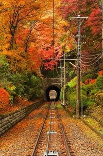 高尾山の紅葉.jpg